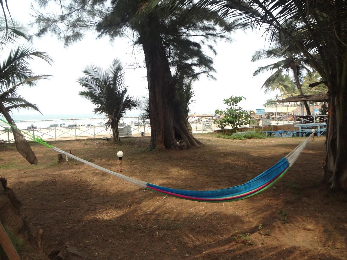 Silent Resort Mandrem Bagian luar foto